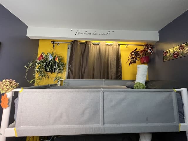 Single Bed in a 4 Bed Dorm