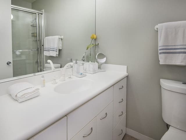 Condo (Lionshead Center)