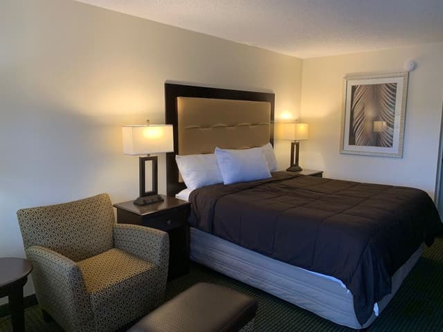 Room, 1 King Bed, Non Smoking