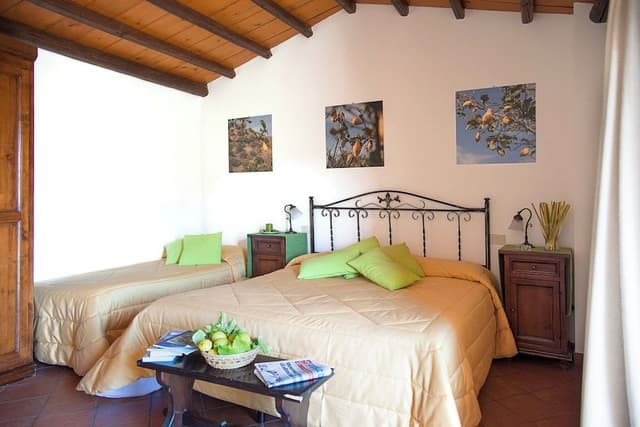Superior Triple Room, Mountain View