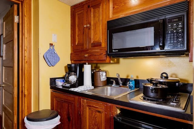 Deluxe Condo, 2 Bedrooms, Kitchenette