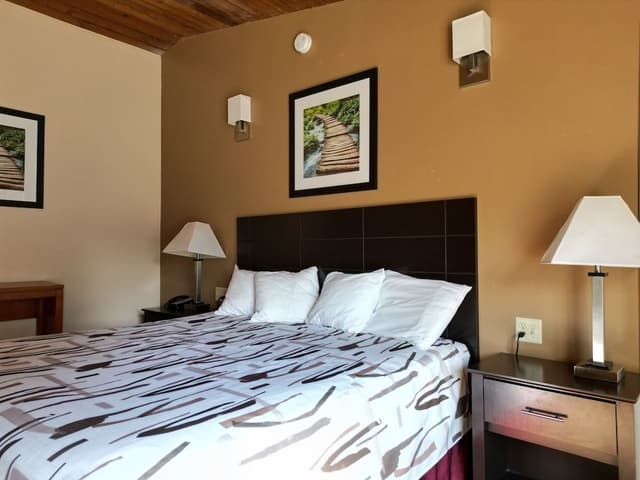 Standard Room, 1 King Bed, Refrigerator & Microwave