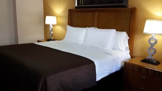 Deluxe Room, 1 King Bed
