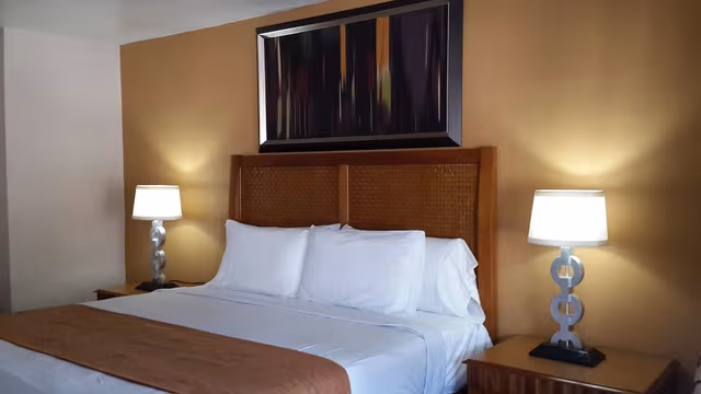 Deluxe Room, 1 King Bed