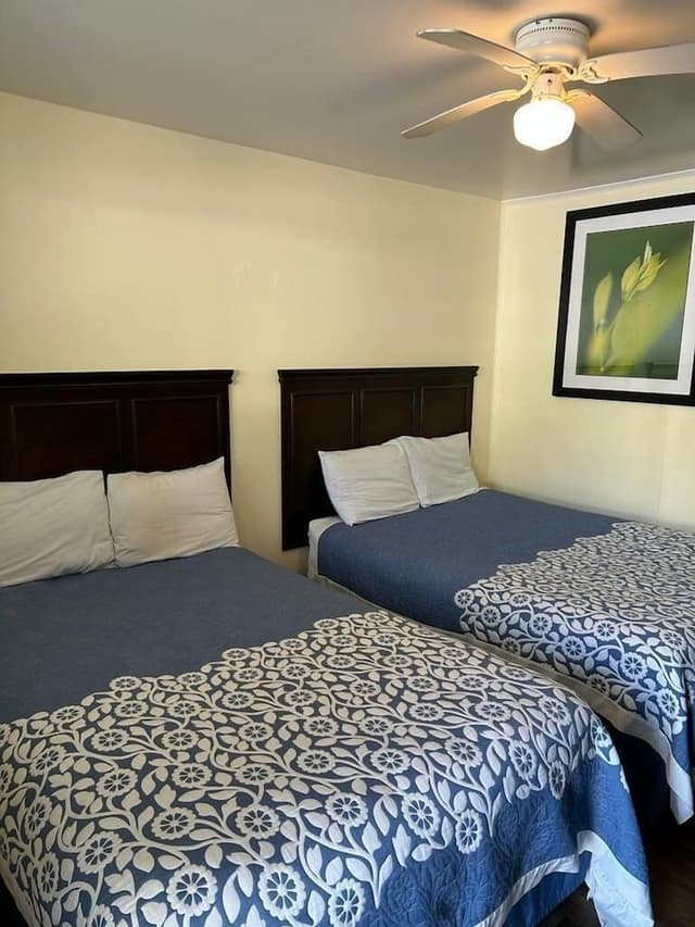 Comfort Suite, Multiple Beds