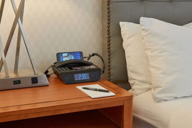 Executive Room, 1 King Bed (Executive Elite King with Sleeper Sof)