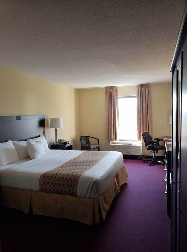 Deluxe Single Room, 1 King Bed, Accessible
