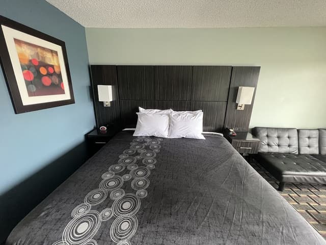 Standard Room, 1 King Bed, Non Smoking