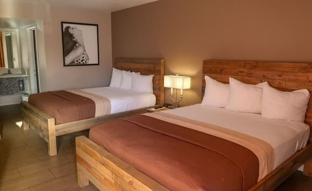 Deluxe Room, 2 Queen Beds, Pool View