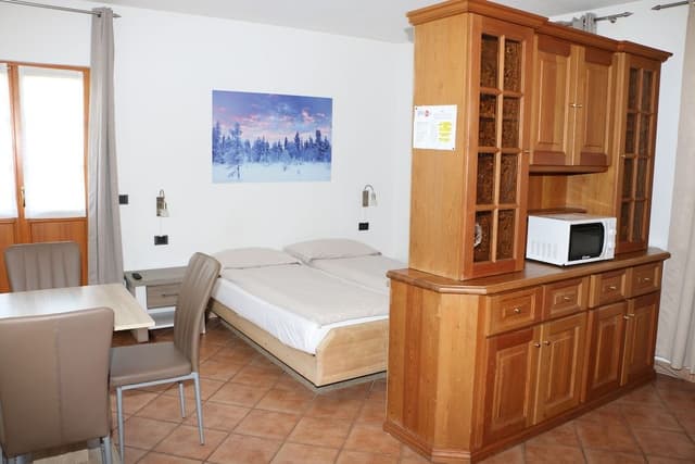 Studio, 1 Queen Bed with Sofa bed