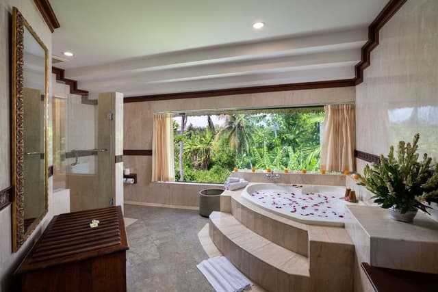 Luxury Suite