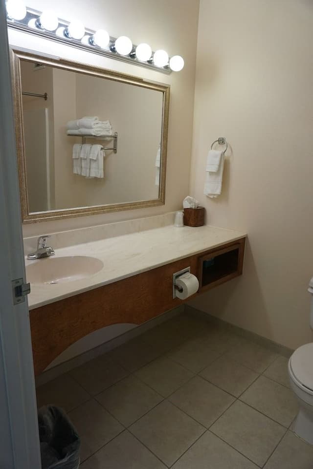 Suite, 1 Bedroom, Non Smoking