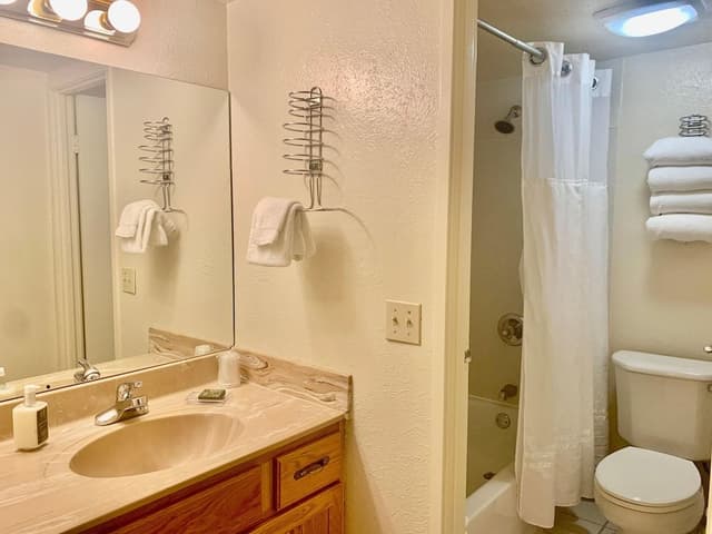 Studio, 1 Queen Bed with Sofa bed (Lift House Lodge, Vail Lionshead Stud)