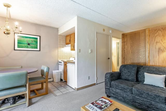 Studio, 1 Queen Bed with Sofa bed (Lift House Lodge, Vail Lionshead Stud)