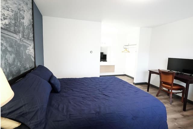 Room, 1 Double Bed