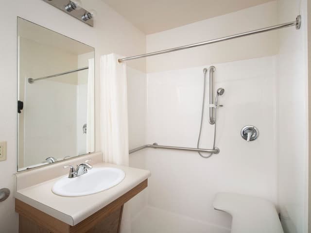 Room, 1 Queen Bed, Accessible, Non Smoking (Roll-in Shower)