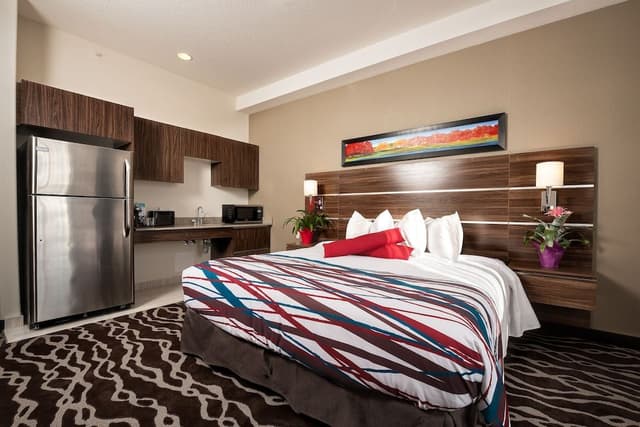 Accessible, Roll-in Shower, Standard Room, 1 King Bed
