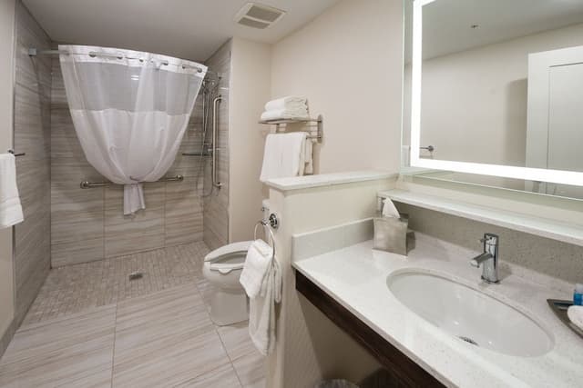 Accessible, Roll-in Shower, Standard Room, 1 King Bed
