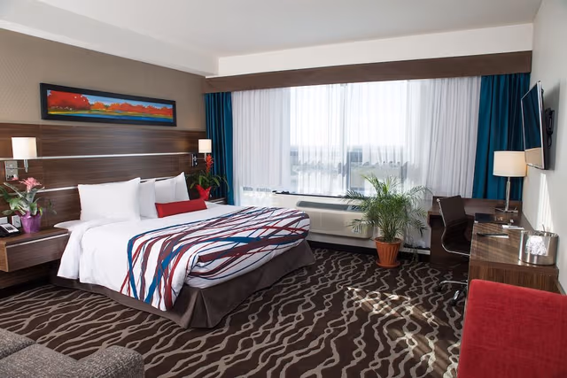 Standard Room, 1 King Bed with Sofa bed, Kitchenette