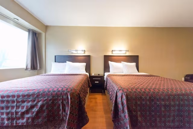 Comfort Suite