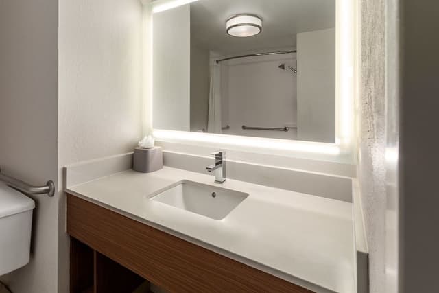 Standard Room, 1 King Bed, Accessible (Mobility)