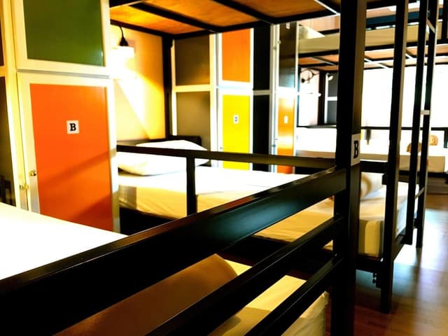 14-Bed Mixed Dormitory Room