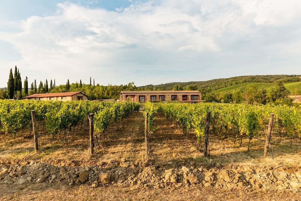Tenuta Casteani2