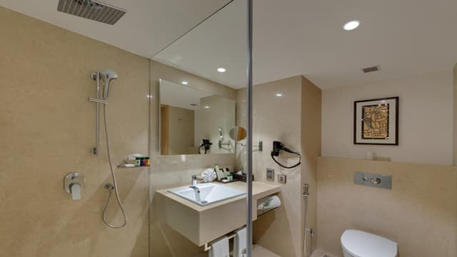 Winter Green Premium Room, 1 King Bed