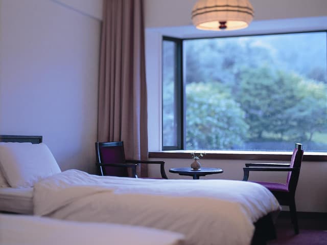 Deluxe Mountain View Twin Bed