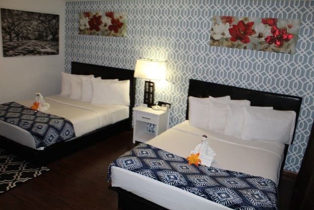 Budget Double Room
