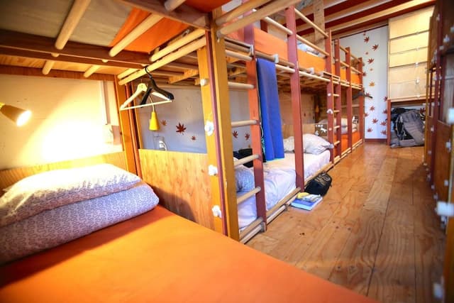 Basic Shared Dormitory, 1 Bedroom (Male and Female Guest Mixed)