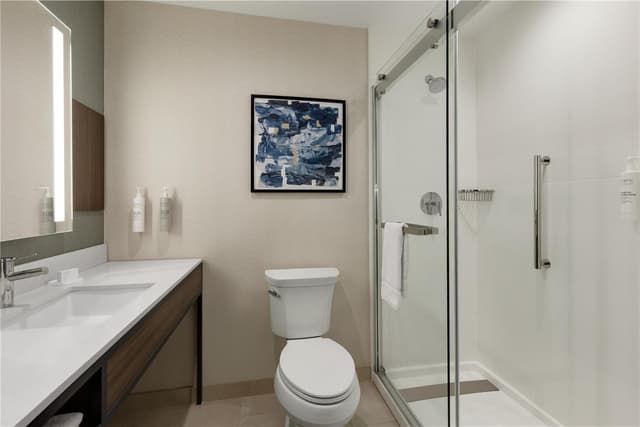 1 KING DELUXE HEARING ACCESSIBLE ROOM