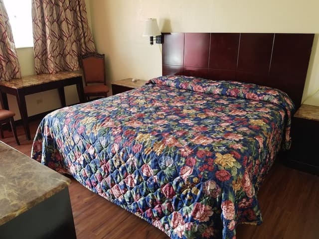 Room, 1 King Bed