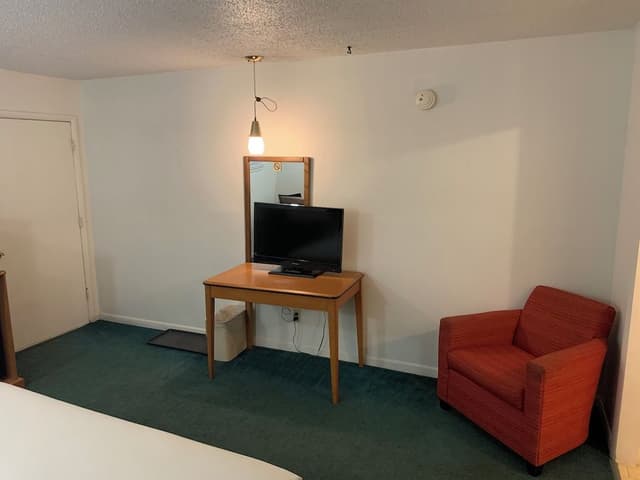 Room, 1 King Bed