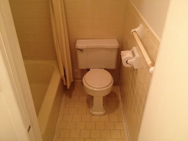 Room, 1 King Bed