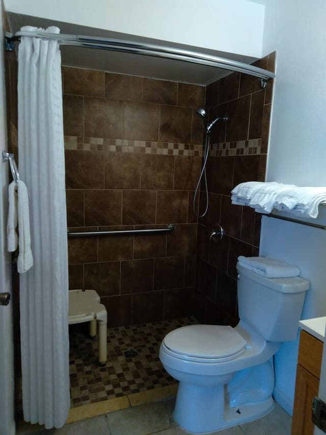 Room, 1 King Bed, Accessible, Non Smoking