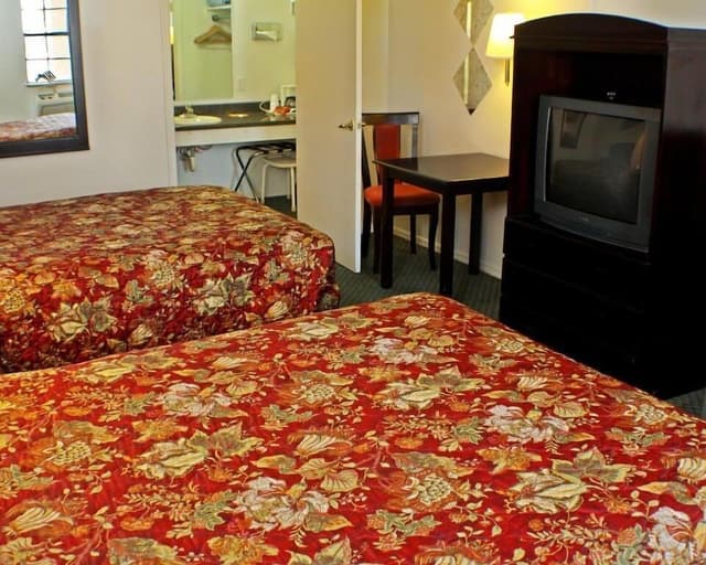Family Double or Twin Room