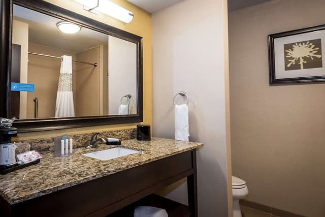 Room, 1 King Bed (Hearing Accessible)