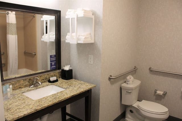 Room, 1 King Bed, Accessible, Non Smoking