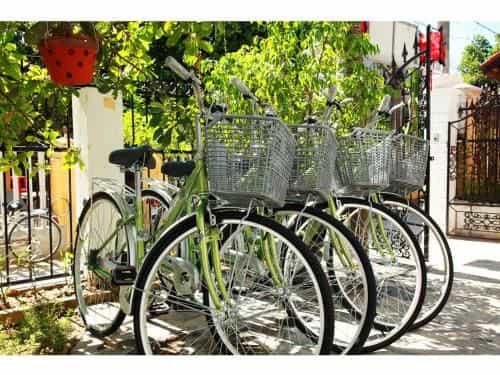 Sunny Garden Homestay Sunny Garden Homestay