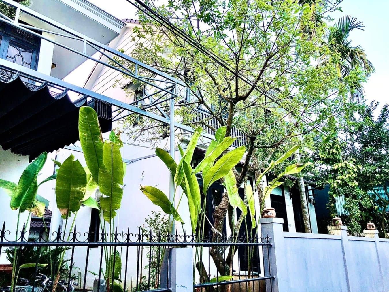 Sunny Garden Homestay Sunny Garden Homestay