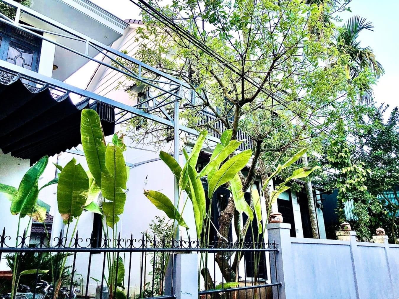Sunny Garden Homestay Sunny Garden Homestay