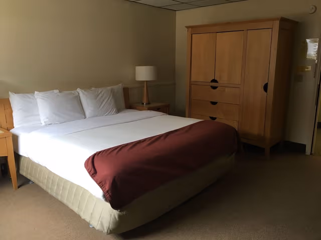 Standard Single Room, 1 King Bed