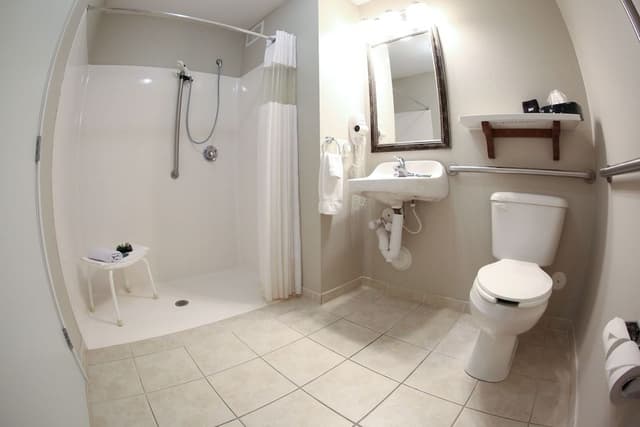 Standard Room, 1 King Bed (Handicap)