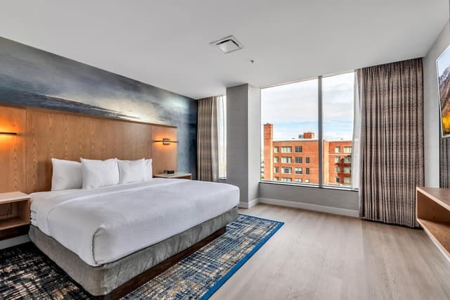 Suite, 1 King Bed with Sofa bed