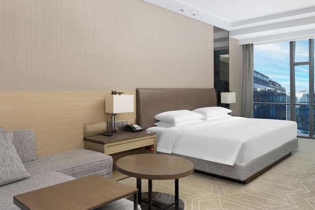 Suite, 1 King Bed with Sofa bed