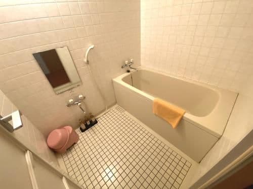 Japanese-Style Deluxe Room with Lake View - Non-Smoking