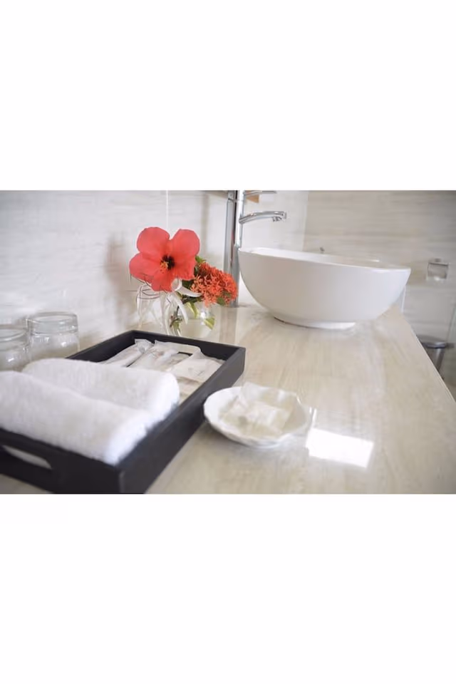 Luxury Twin Room, Mountain View