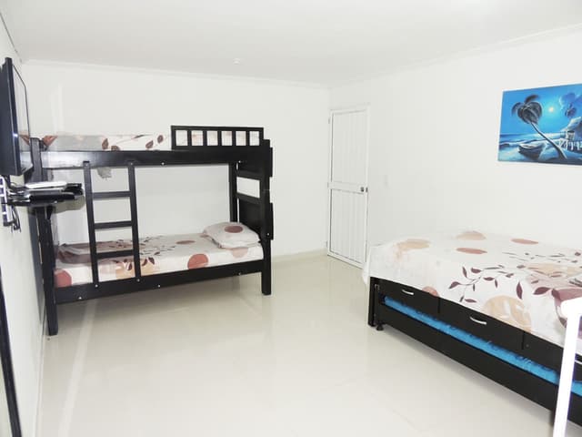 LIMSOR 204