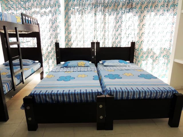 LIMSOR 205
